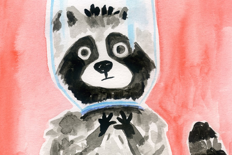 Mr. Raccoon<span>Illustration</span>